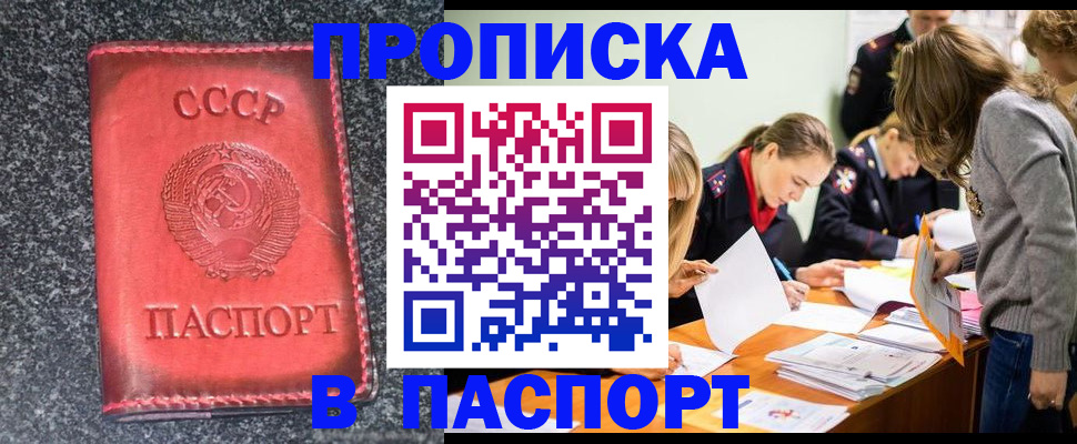 прописка для школы в Лосино-Петровском